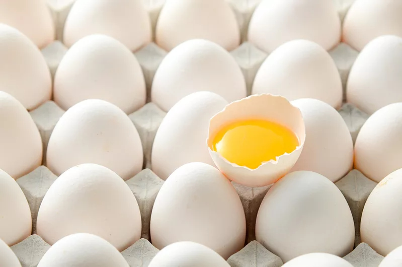 3Why-Zeaplant-s-Lutein-Is-The-Unrivaled-Choice-in-Animal-Feed.jpg