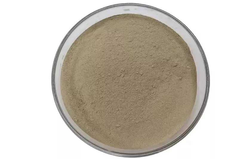Leading-Global-Manufacturer-of-Enzyme-Preparation-Animal-Feed-Additives.jpg