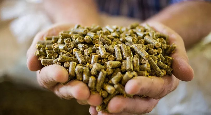 7Leading-Global-Manufacturer-of-Enzyme-Preparation-Animal-Feed-Additives.jpg