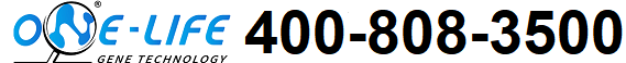ҳ