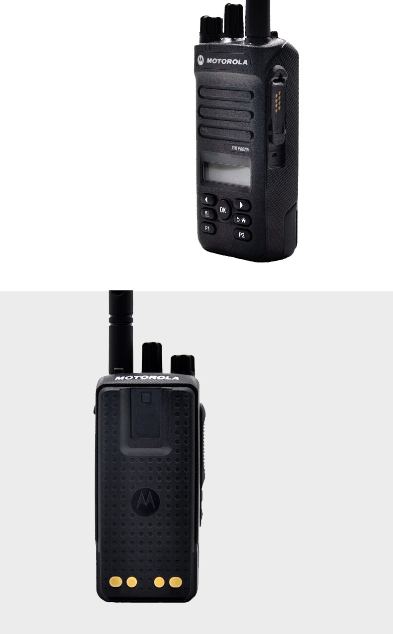 P6620i8.jpg