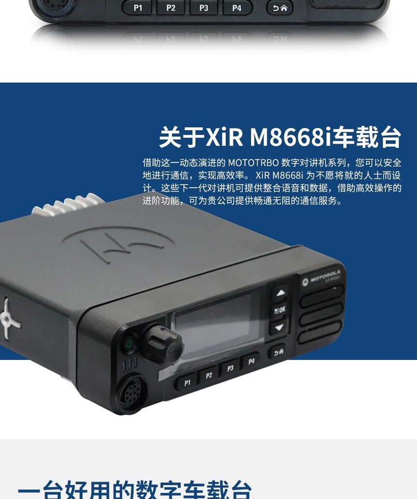 M8668į2.jpg