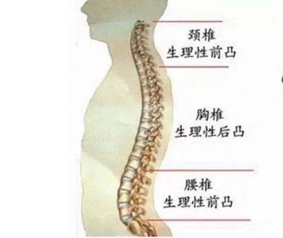 55158a79a2e38425a93d70c78e378f1e.jpg