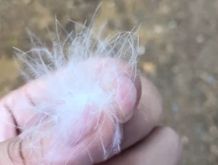8c298c1f65307781912c837b80578153.png