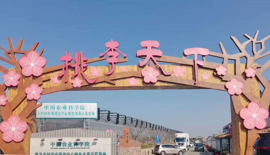 1766058227756222.png 图片1.png