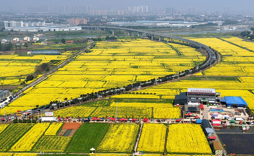 1773578614236652.png 图片1.png