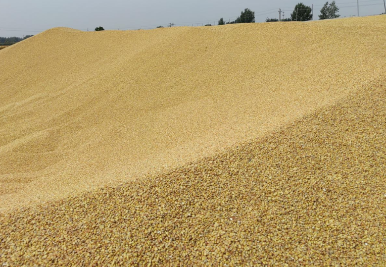 1733300749472846.png image.png