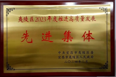 先進(jìn)集體獎
