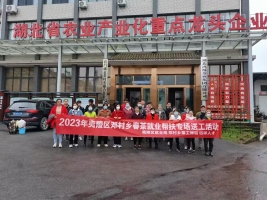 就業(yè)幫扶
