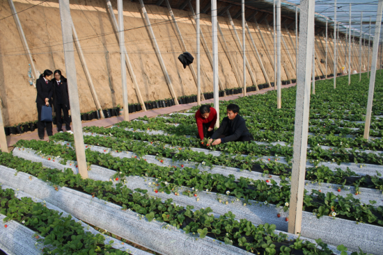 1768535305890783.png image.png