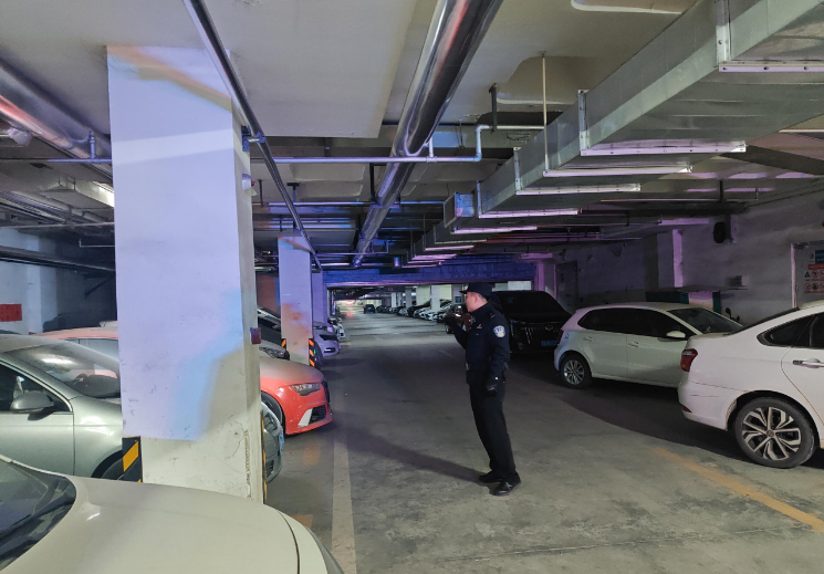 1770172445552529.png 1770172445552529.png