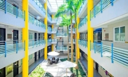 澳门旅游大学