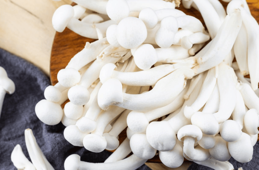 1763438456516320.png 64a2c121fef558f43c2971f860a2f4a3.png