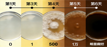 1781663039224388.png image.png