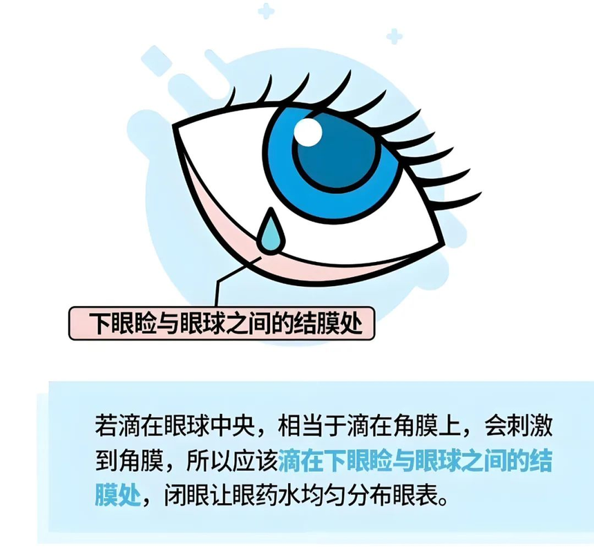 ͼƬ12.png