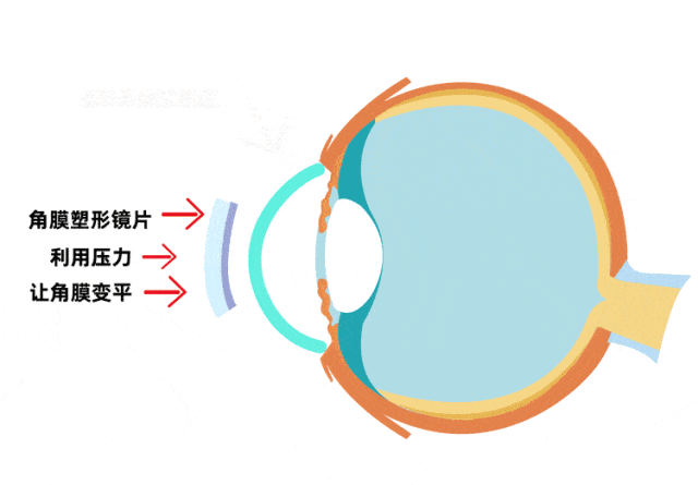 82e2563eefb63238ccc81e6555f25e2a.jpg