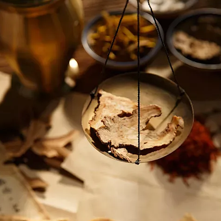 ��״�ٽ�ڻ��ߵ���������֧����ϵ����