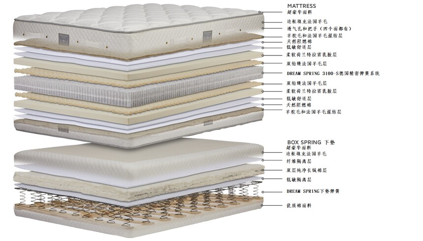 Dream Spring® Limited Mattress & BOX SPRING LAYERSCN.jpg
