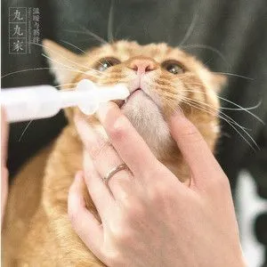 QQͼƬ20240723152327.png