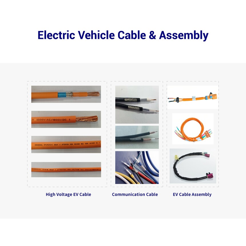 Electric Vehicle Cable & Assembly.jpg