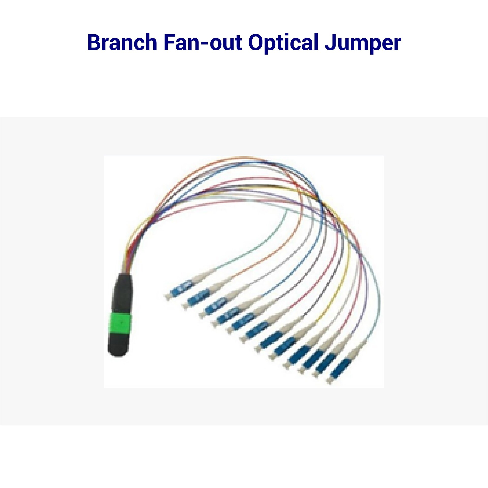 Branch Fan-out Optical Jumper.jpg