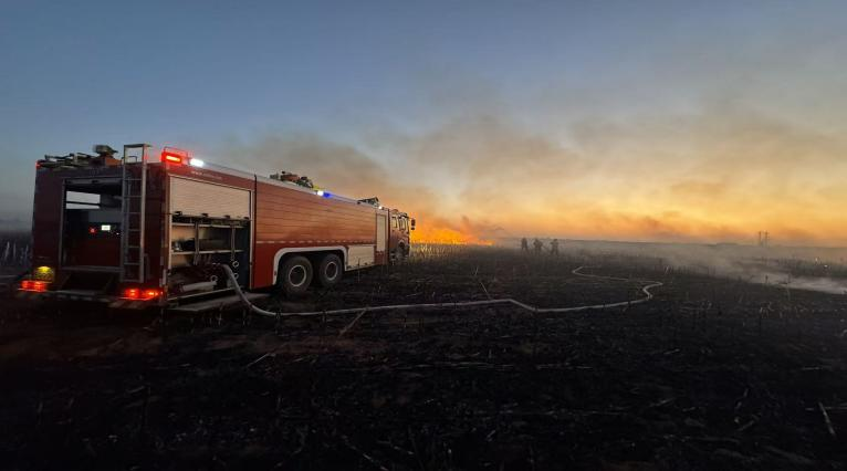 1762391234925373.png 1762391234925373.png