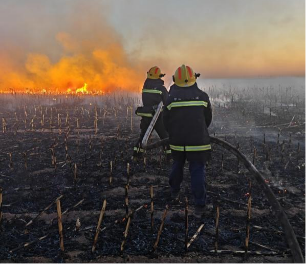 1762391235433923.png 1762391235433923.png