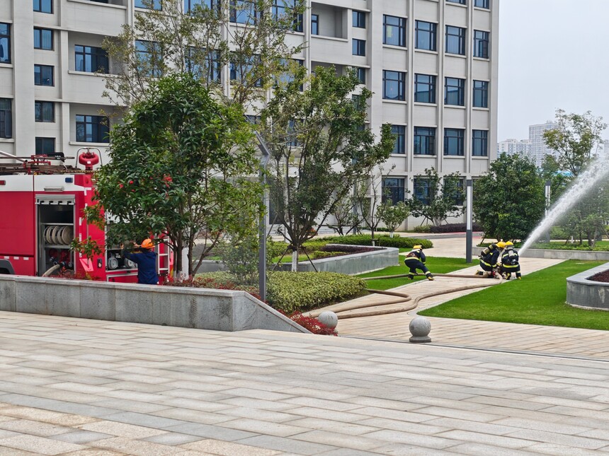 1763687238838508.jpg 1763687238838508.jpg