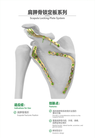 肩胛骨鎖定板系列