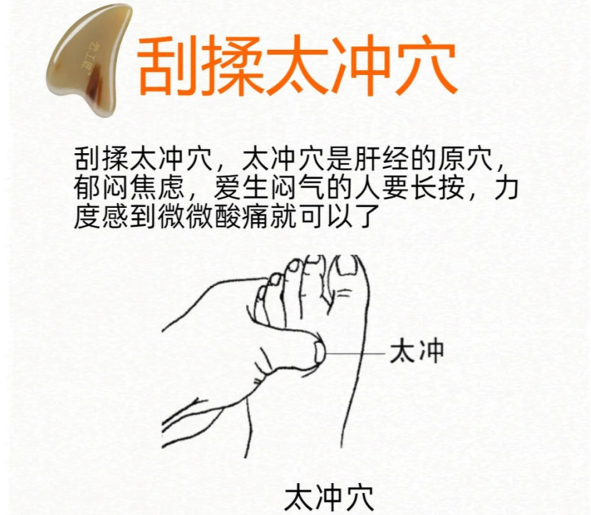 5bfc01215a73be33f59390f01cae410.png