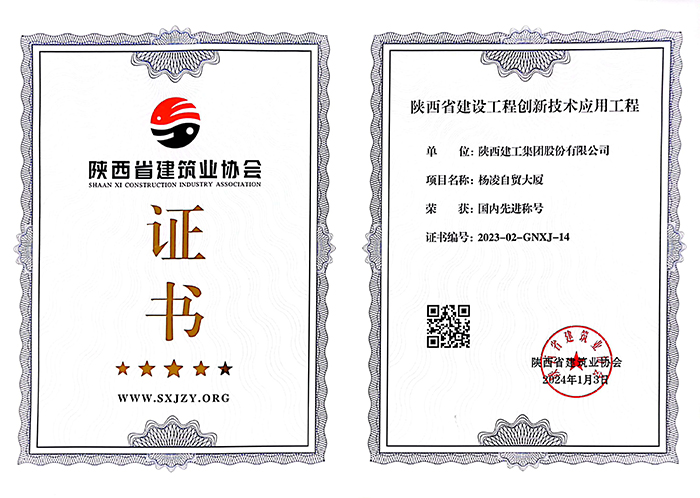 楊淩自貿大廈.jpg