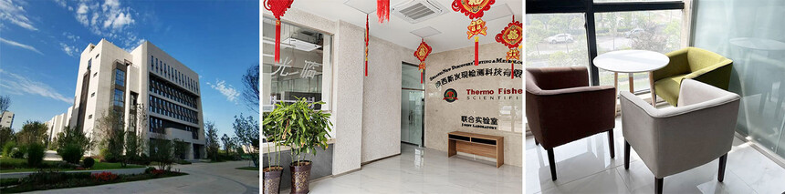 bf965f66-6179-4201-997e-699b4867ddfb (1).jpg