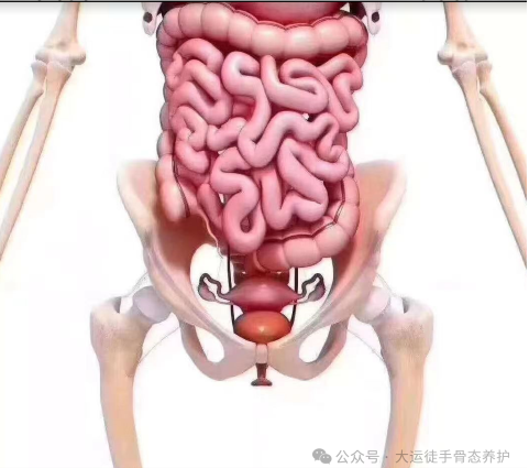 1726046924298580.png image.png