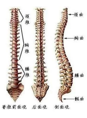 1726047638436721.png image.png