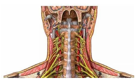 1726047693135986.png image.png