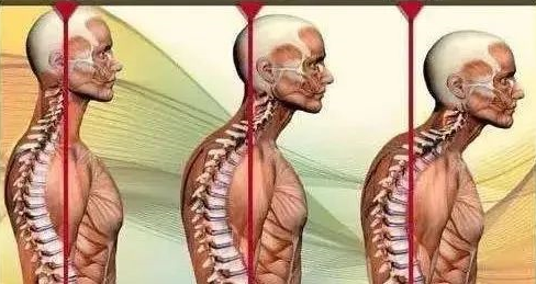 1726047706786396.png image.png