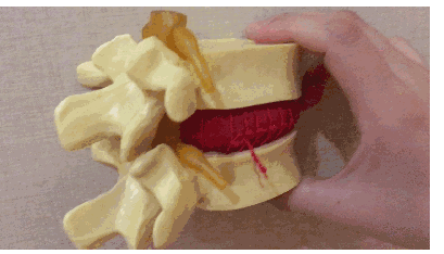 1726047747520572.png image.png