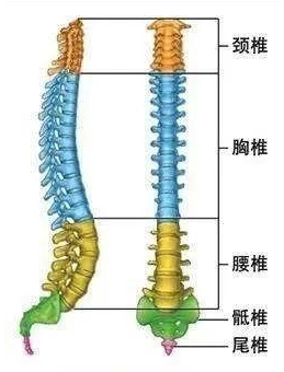 1726047757851837.png image.png