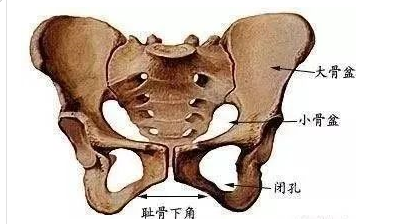 1726047801705483.png image.png