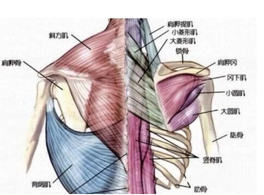 1726049932239700.png image.png