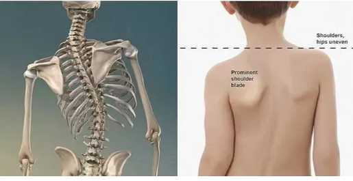 1726049991611141.png image.png