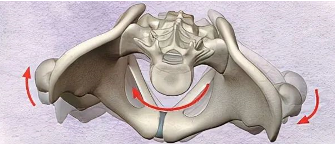 1726367947962373.png image.png