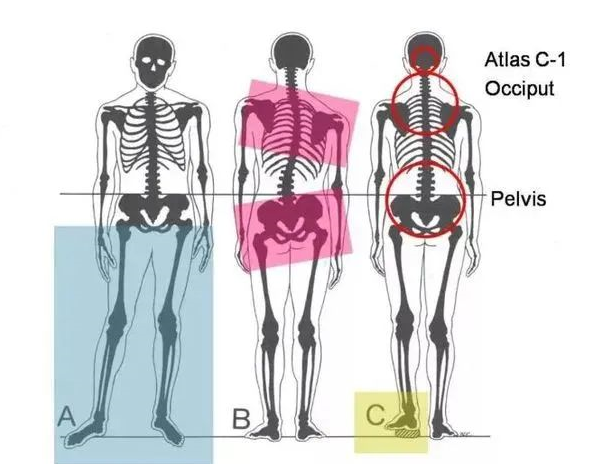 1726367975374528.png image.png