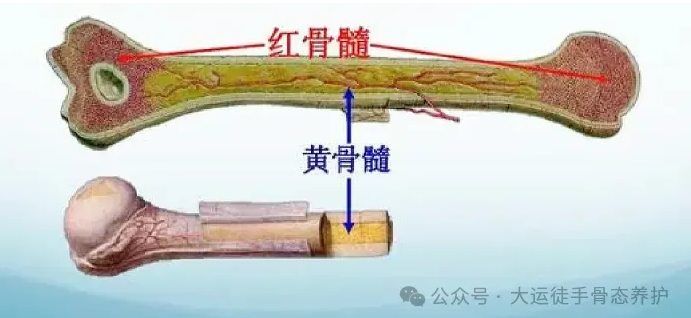 1726369379370207.png image.png