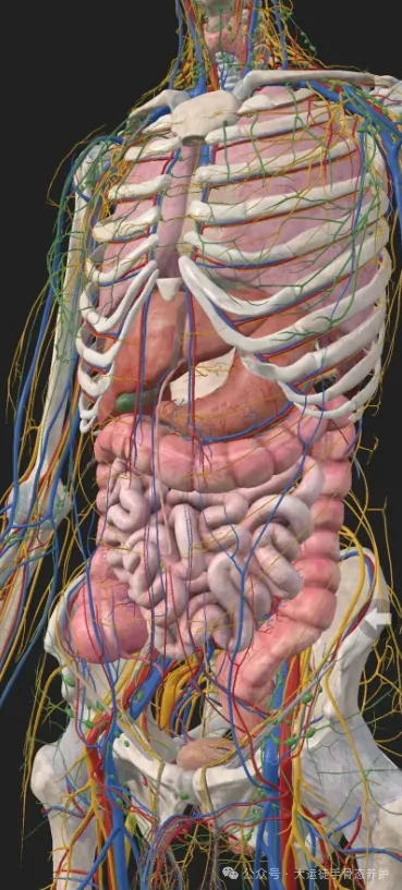 1726369444725777.png image.png