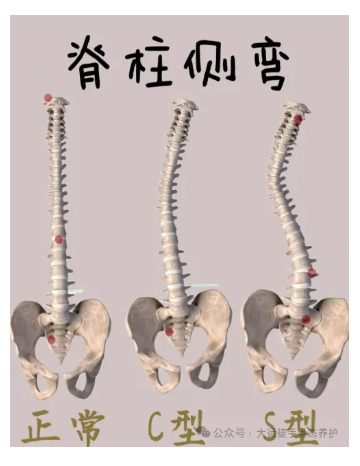 1727316217897804.png image.png