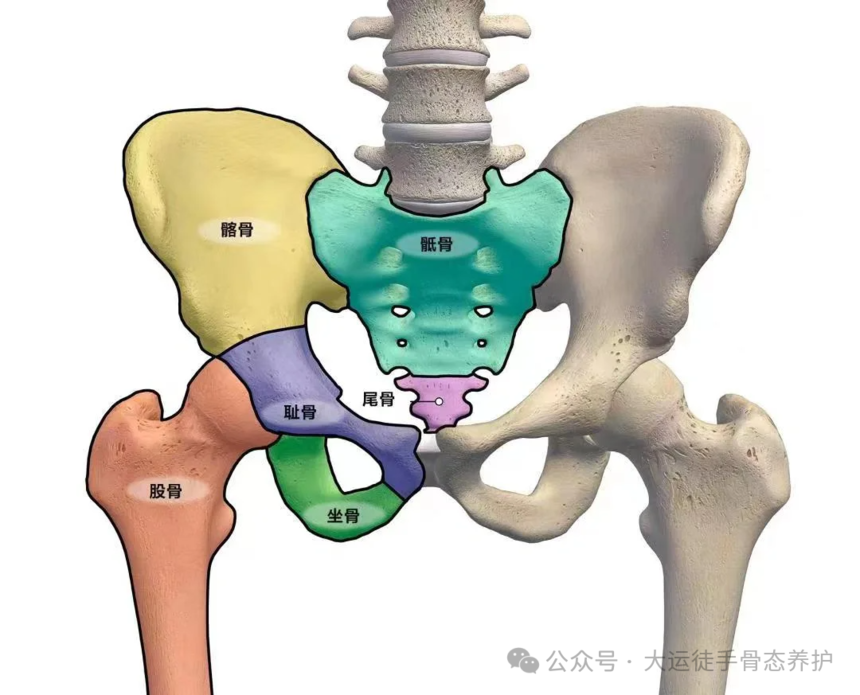 1727317231896068.png c27e77085f1fabb3316e8526094d73dd.png