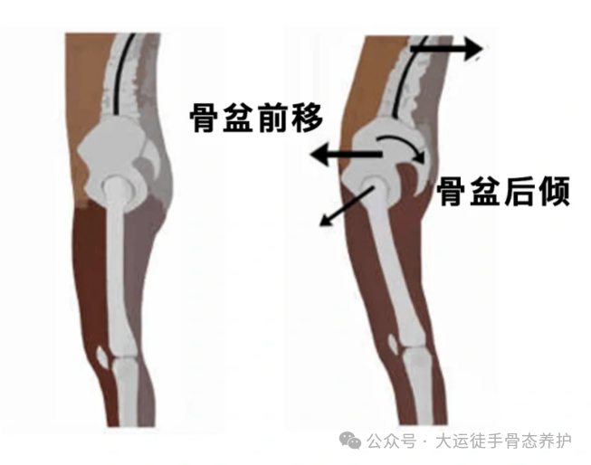 1727317251504715.png 86af098faa47fbefcf66e7c71d358e97.png