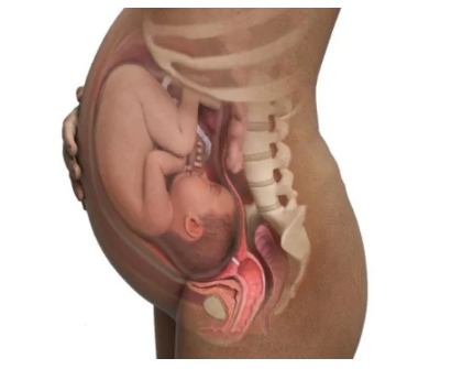 1727320322616097.png image.png