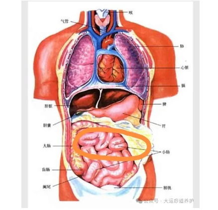 1727333693796838.png image.png